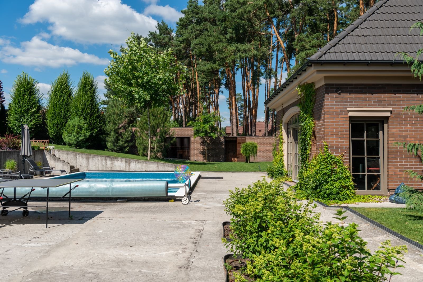 A neglected backyard pool in need of a thorough green-to-clean recovery