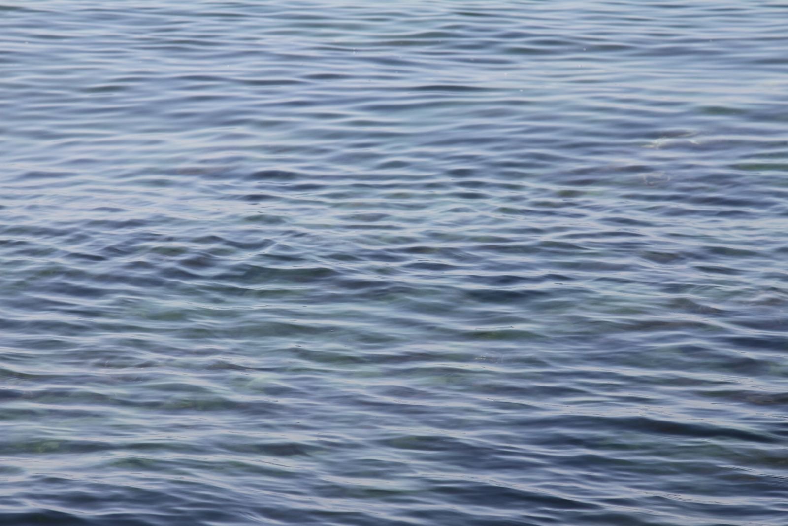 Sunlit ripples across clear, well-filtered pool water